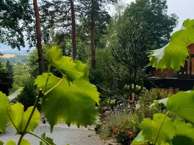 Ferienhaus für 2 Personen (48 m²) in Lohmen 3/10