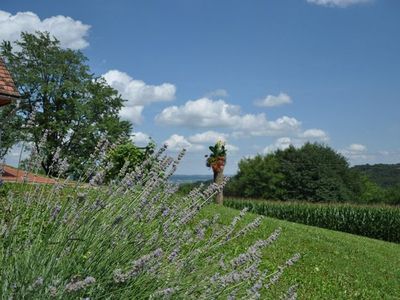 Ferienhaus für 4 Personen (70 m²) in Loipersdorf bei Fürstenfeld 4/10