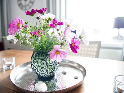 gosterholzmelkerhauswohnz