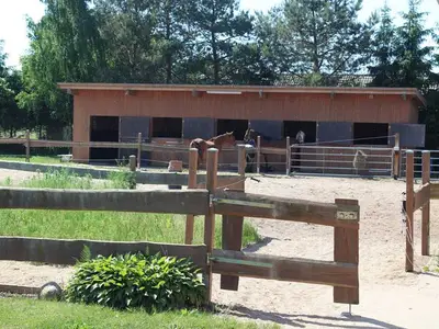 Ferienhaus für 8 Personen (115 m²) in Sophienhof 5/10
