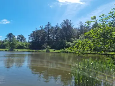 WaterView
