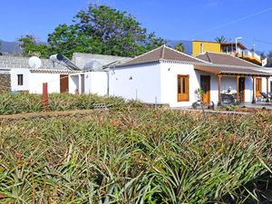 23554023-Ferienhaus-2-Los Llanos de Aridane-300x225-4