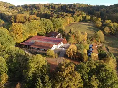 Ferienhaus für 6 Personen (85 m²) in Losheim Am See 4/10