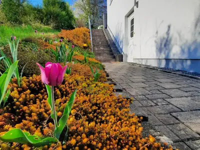 Zuwegung_5_052025