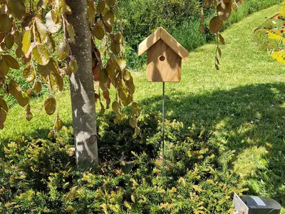 Baum_Detail_2_052025
