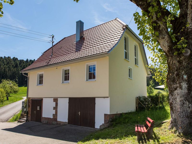 19392360-Ferienhaus-8-Loßburg-800x600-0