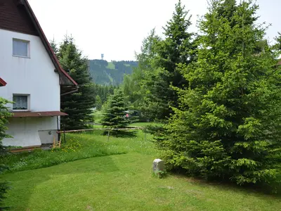 ViewSummer