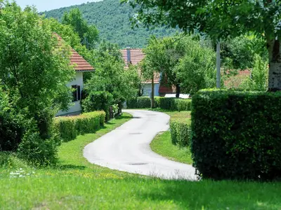 GardenSummer