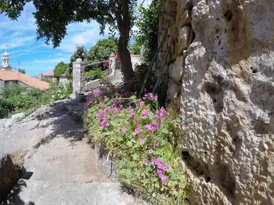Ferienhaus für 4 Personen in Ložišća 6/10