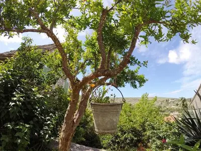 Ferienhaus für 4 Personen in Ložišća 7/10