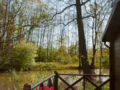 Ferienhaus für 4 Personen (30 m²) in Lübbenau/Spreewald 1/8