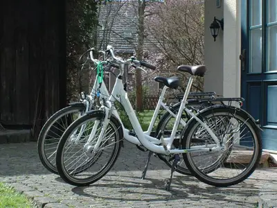 Ferienhaus für 3 Personen (70 m²) in Lehde 9/10