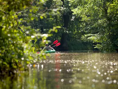 Ferienhaus für 4 Personen (30 m²) in Lübbenau/Spreewald 8/8