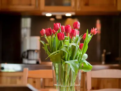 Ferienhaus für 4 Personen (28 m²) in Lübbenau/Spreewald 1/7