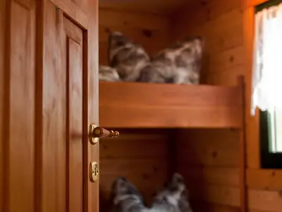 Ferienhaus für 4 Personen (28 m²) in Lübbenau/Spreewald 4/7