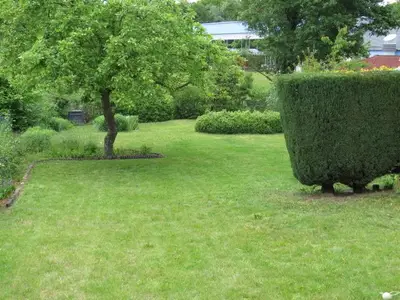 Garten 6