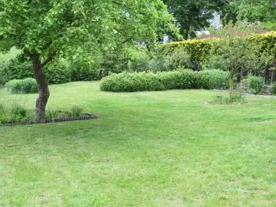 Garten 5