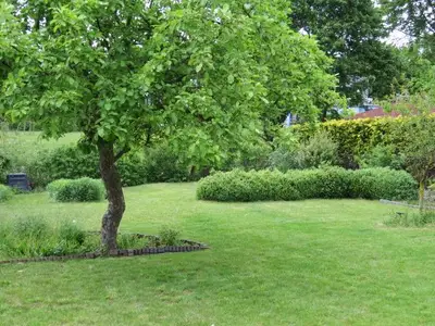 Garten 4
