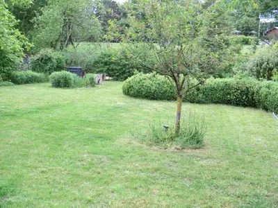 Garten 2
