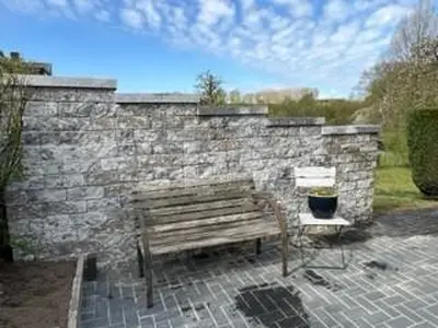 Gartenansicht mit Bank