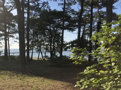 Ferienhaus für 4 Personen (55 m²) in Lubmin (Seebad) 4/10