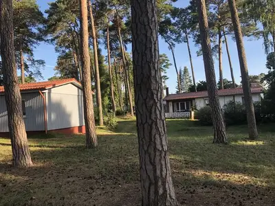 Ferienhaus für 4 Personen (55 m²) in Lubmin (Seebad) 5/10