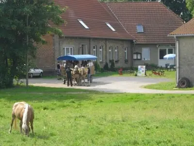 Ferienhaus für 4 Personen (28 m²) in Lübz 3/10