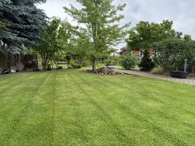 Ferienhaus für 5 Personen (77 m²) in Luckenwalde 5/10