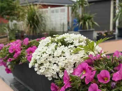 Ferienhaus für 5 Personen (77 m²) in Luckenwalde 9/10