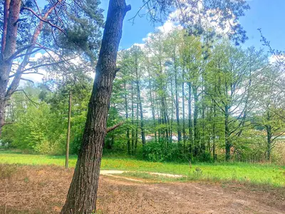 outside