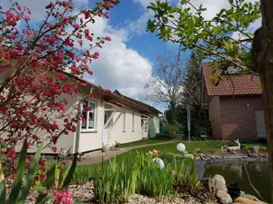 Ferienhaus für 2 Personen (45 m²) in Lübbenau/Spreewald