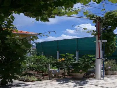 GardenSummer