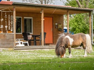 Ferienhaus für 4 Personen (21 m²) in Lütow 10/10