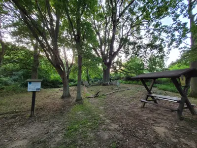 Ferienhaus für 6 Personen (55 m²) in Lütow 10/10