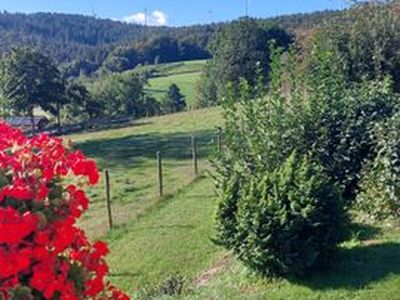 Ferienhaus für 6 Personen (100 m²) in Lützelbach 10/10