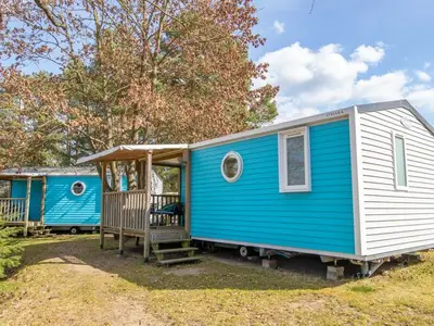 Ferienhaus für 5 Personen (26 m²) in Lychen 6/10