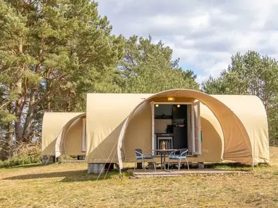 Ferienhaus für 5 Personen (16 m²) in Lychen 3/10