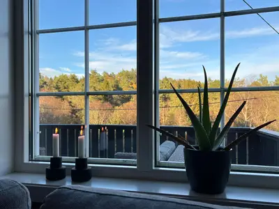 view-from-room