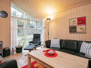 22406893-Ferienhaus-6-Lyngså-300x225-1