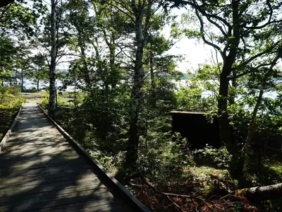 Outdoor