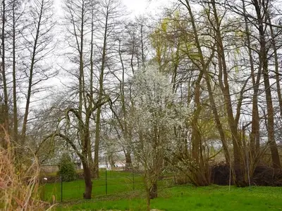 Ferienhaus für 2 Personen (40 m²) in Malchow 10/10