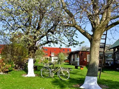 Ferienhaus für 5 Personen (60 m²) in Malchow 5/10