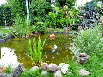 Ferienhaus für 5 Personen (60 m²) in Malchow 9/10