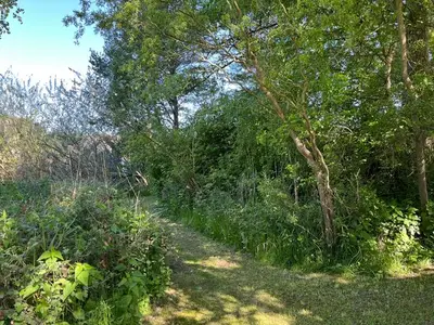 Ferienhaus für 9 Personen (165 m²) in Malchow 5/10