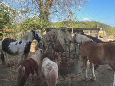 Blick aus dem Ferienhaus I