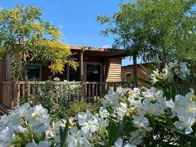 ExteriorSummer