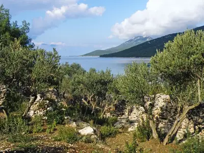 Ferienhaus für 5 Personen in Mali Lošinj 10/10