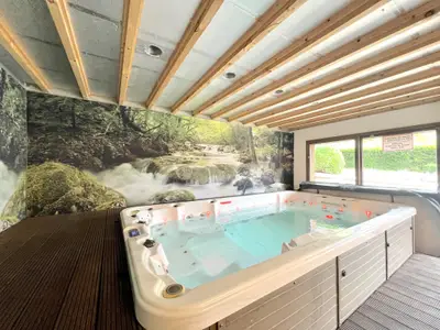 Wellness Wellness