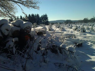 Winter rund um Manderscheid