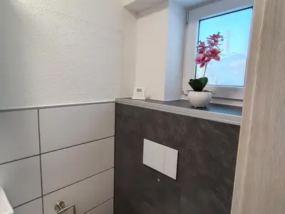 WC des Badezimmer